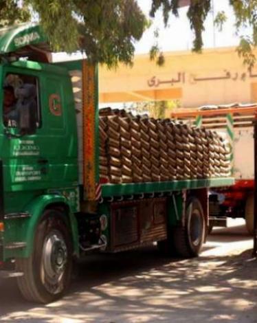 خطوة نادرة.. مصر تسمح بدخول القمح إلى غزَّة