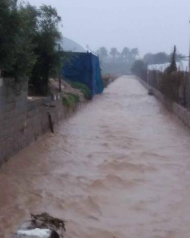 12644796_787280914740085_6522339228663301206_n