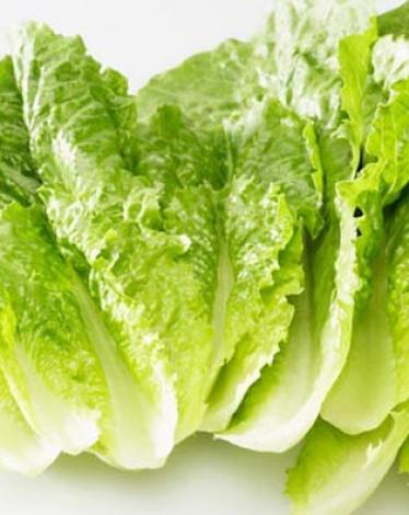 lettuce