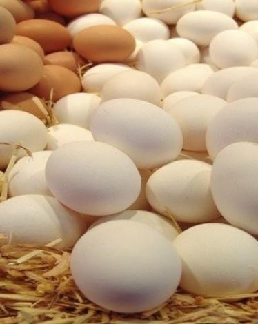 575f7317c46188854f8b45b6