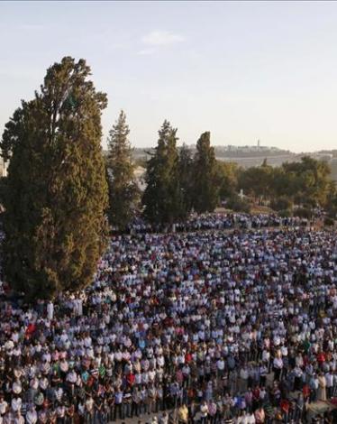 thumbs_b_c_6e9ea2a5f868382761911fabc31f5c48