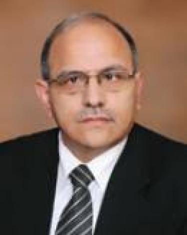 هاني المصري