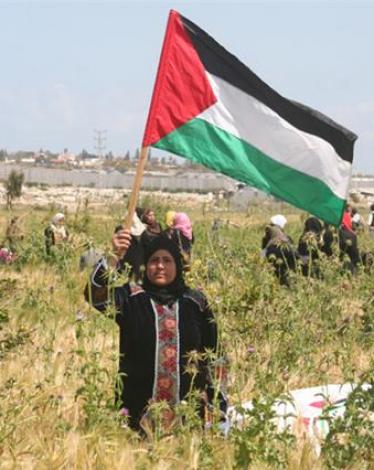 الجدار العازل