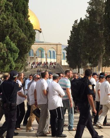 14806 مستوطنين اقتحموا الأقصى خلال 2016