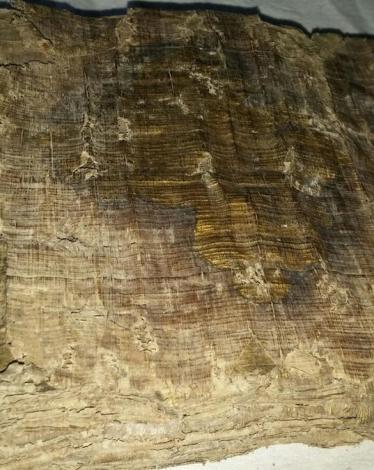 aa_picture_20151028_6644250_web