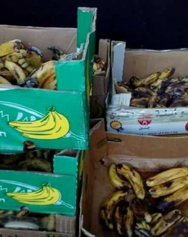 ضبط 200 كغم من الموز الفاسد في جنين