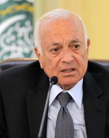 نبيل العربي