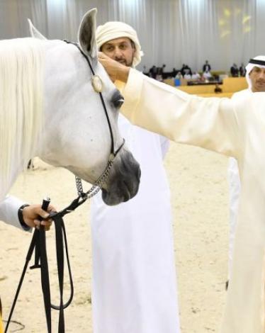 محمد-بن-راشد-750x430