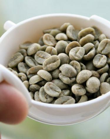 greencoffe_wide-536791a18dbcb20d78fd386ef0959b85ea467ac2-s900-c85