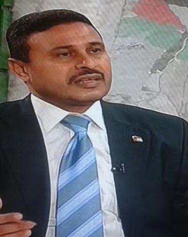 علي هويدي