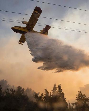 15171110_1643007189075028_6349722259315412563_n