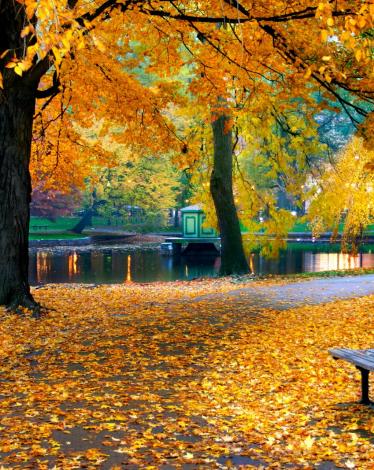 beautiful-autumn (22)