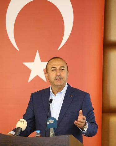 4201713172312234 (1)