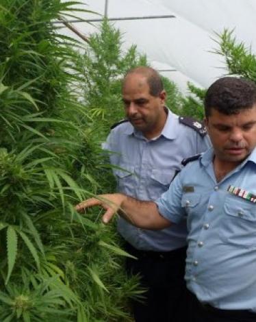 مخدرات