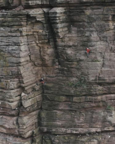 5cfe352d95a597ff4c8b45cd