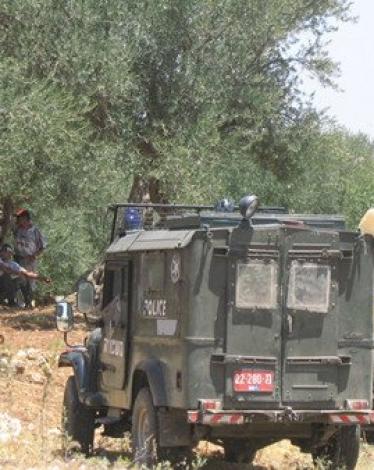 10165363330251101514361546217862