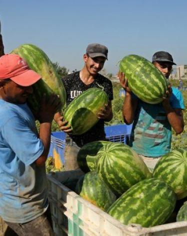 35652130_584736381908871_37466613342221102_n