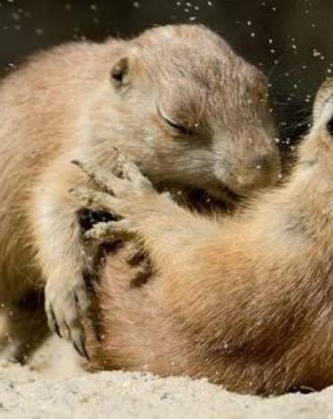 01073948884603018337621367370512 (1)