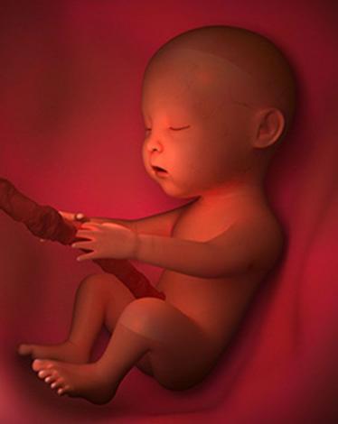 dddf395cb9b218999c51934d0dd49f10f33c6d56