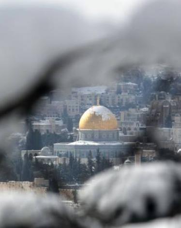 12404520_10208059987756631_1975493320_n