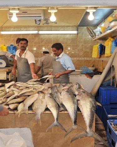 يبحث وفد سعودي في مصر اليوم الأحد إجراءات وأعمال التفتيش والتأكد من سلامة الأسماك المعدة للتصدير إلى المملكة.  وقال وكيل وزارة البيئة والمياه والزراعة للثروة السمكية السعودية أحمد العيادة 