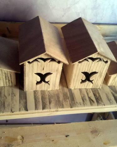 11041887_114240632245293_5213656552261826374_o