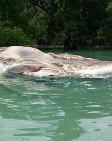 2017_5_12_15_38_49_966