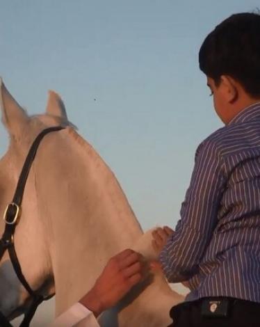 5e36d73a4c59b735af10df62