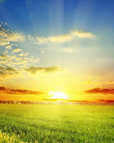 spring-sun-2560x1600-wallpaper