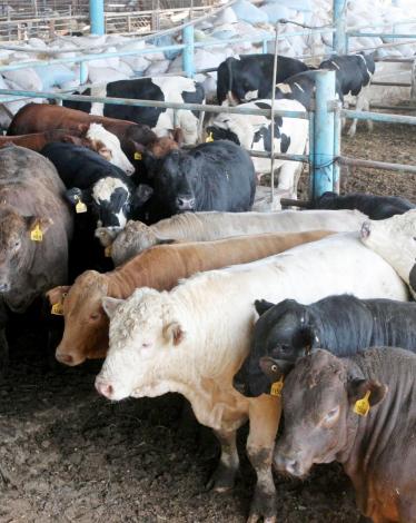 f3f5573e3eb4ce8047bf17acea0d5dfe