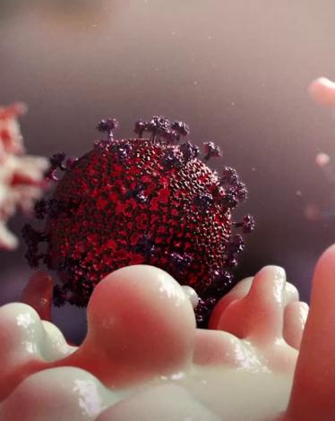 121-142656-causes-symptoms-immunodeficiency-methods-treatment-3