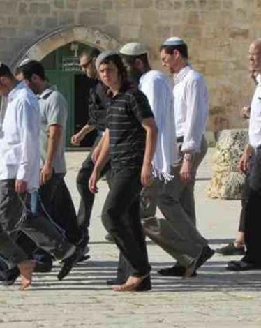 المسلسل مستمر.. مستوطنون يقتحمون المسجد الأقصى