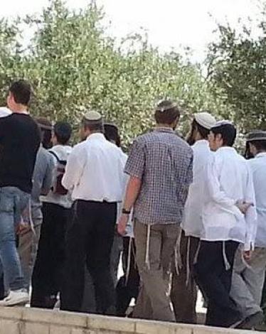 14937404_616543641804245_8152755105773655619_n