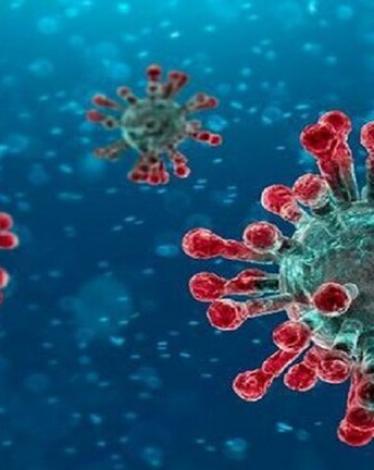 5e2fae0e42360456371bb233