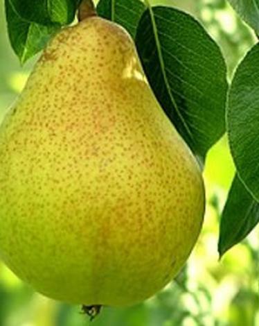 566aa00cc461881c488b45ca