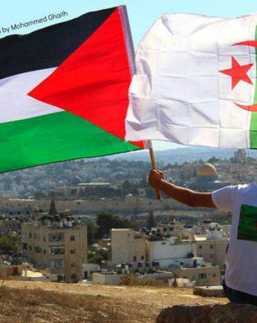 فلسطين