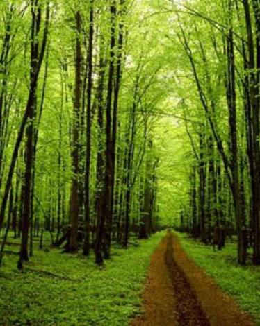 0e802d5a6624f09d7bd2101c383464a6