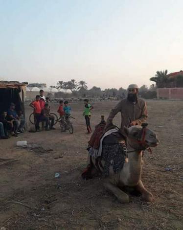 رياضة الخيل والهجن من تراث بلدة الزوايدة