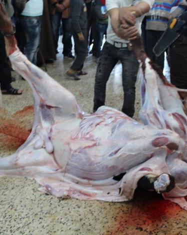 مسلخ النصيرات