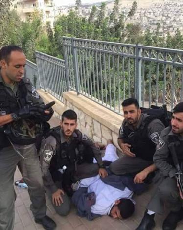 12241178_727660297368816_6087188453539899572_n