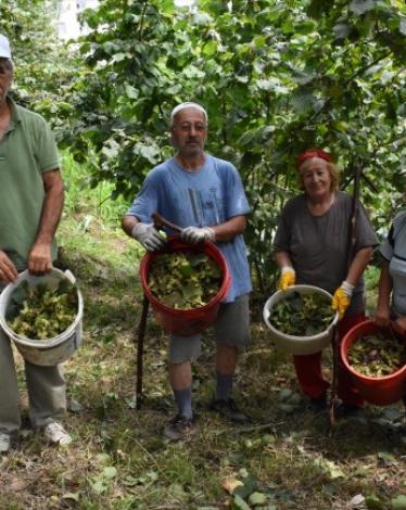 20180730_2_31689607_36036670_Web