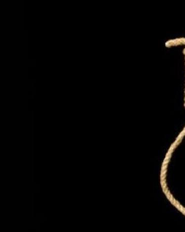 shank-jpg-47099287366441194