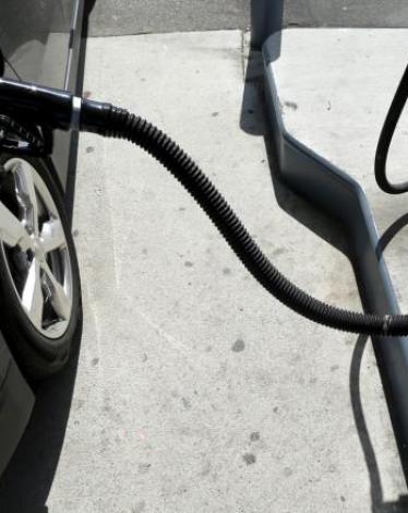 cc167e9e-54c7-469e-816f-4582ce7cc92e