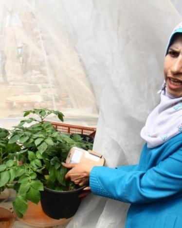 مختبر الأنسجة.. طفرة نوعية في مجال المزروعات المفقودة بغزة