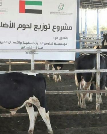 14233888_1589123598058795_1848305524_o