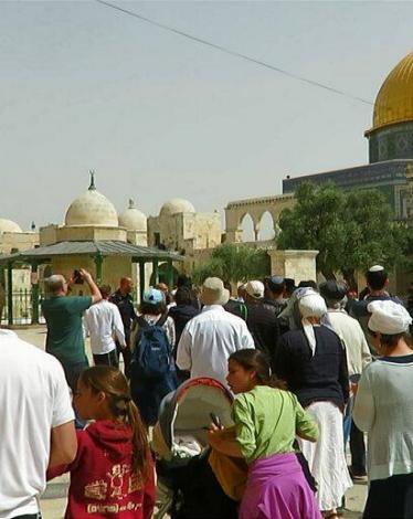 18010132_807154489443218_2392540840978670994_n