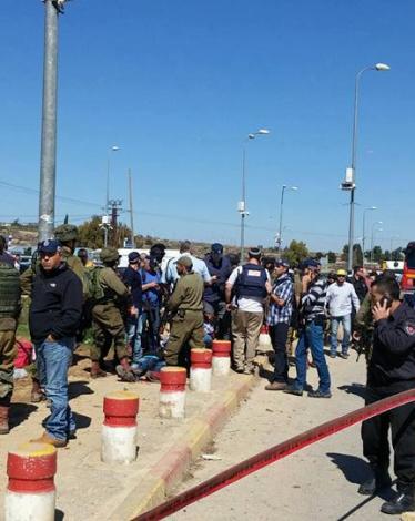 12734012_1316882661687484_8734550160227656218_n