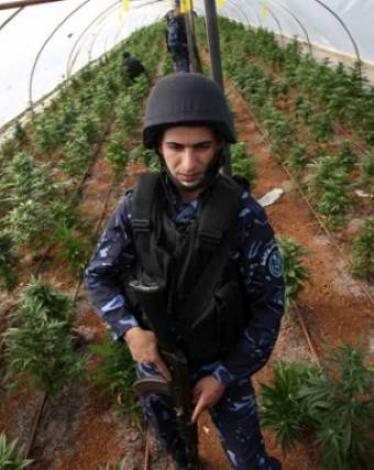 thumb-1-jpg-75452857805044613