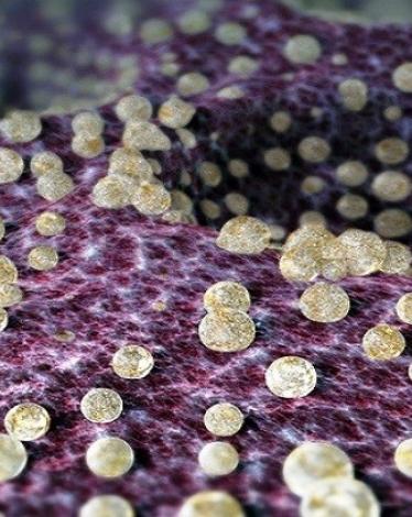 579e2d16c46188d8218b45ac