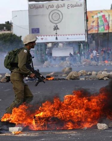 11249165_1204900989552319_8267476139869182568_n